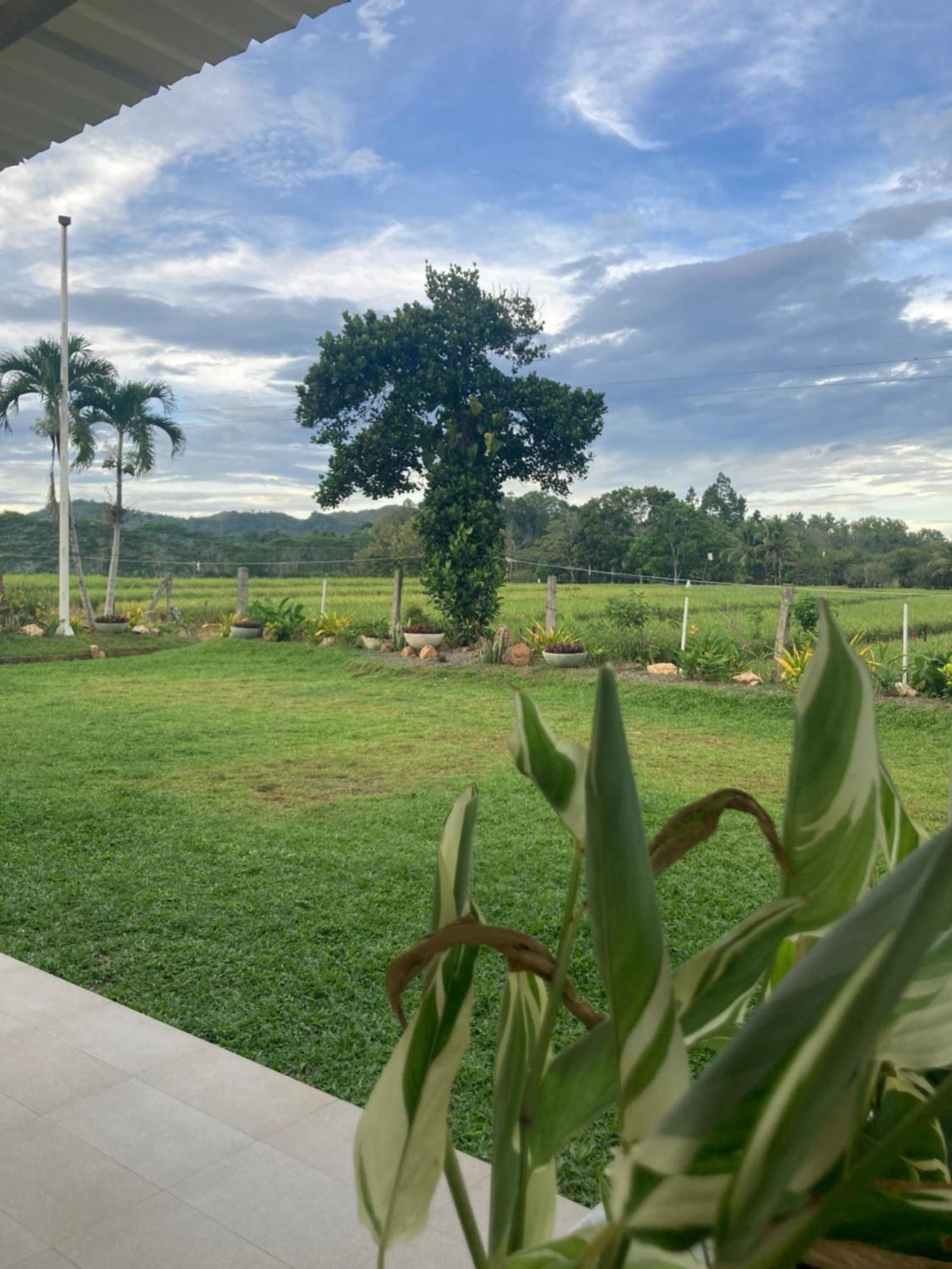 Manolo Fortich The Eliana Farm Resort And Villas מראה חיצוני תמונה